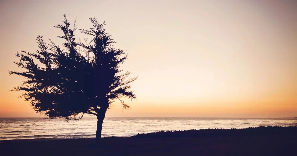 Romantic Getaways in San Simeon: Coastal Sunsets & Memorable Escapes